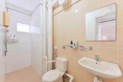 Blk 132 Lorong Ah Soo (Hougang), HDB Executive #517338941